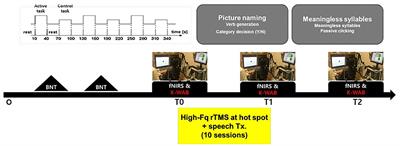 Functional Network Changes After High-Frequency rTMS Over the Most Activated Speech-Related Area Combined With Speech Therapy in Chronic Stroke With Non-fluent Aphasia